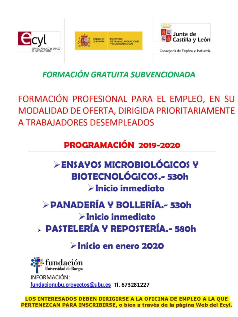 FORMACIÓN PROFESIONAL PARA EL EMPLEO, EN SU MODALIDAD DE OFERTA, DIRIGIDA PRIORITARIAMENTE A TRABAJADORES DESEMPLEADOS
