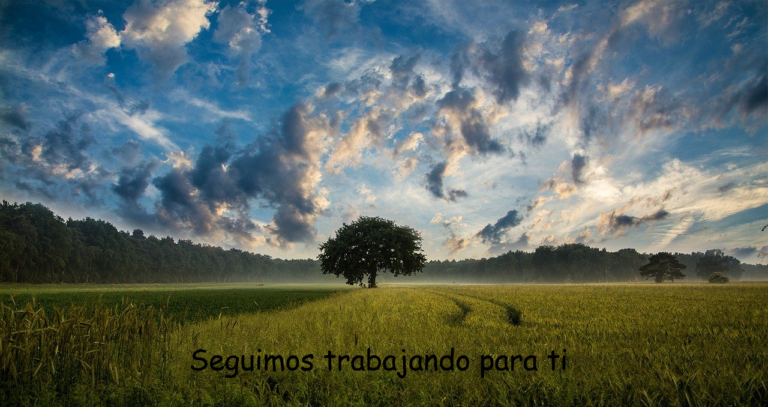 Boletín Informativo Red de Innovación Rural Burgos