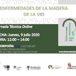 Análisis de las enfermedades de la madera de la vid en una jornada de trabajo de la Red de Innovación Rural