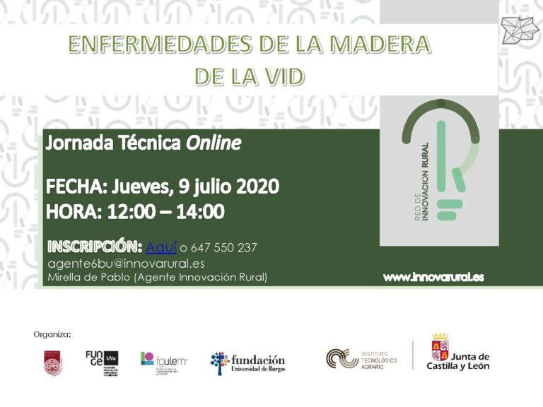 Análisis de las enfermedades de la madera de la vid en una jornada de trabajo de la Red de Innovación Rural