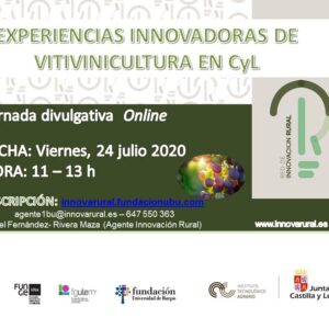 “Experiencias innovadoras en vitivinicultura en Castilla y León”, nueva jornada técnica online de la Red de Innovación Rural