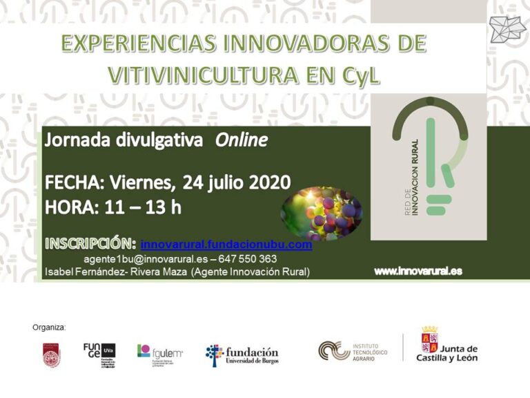 “Experiencias innovadoras en vitivinicultura en Castilla y León”, nueva jornada técnica online de la Red de Innovación Rural